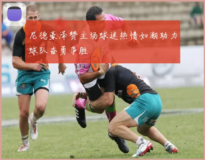 尼德豪泽赞主场球迷热情如潮助力球队奋勇争胜